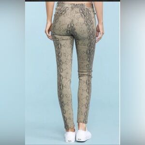 Snake Pattern Judy Blue Jeans